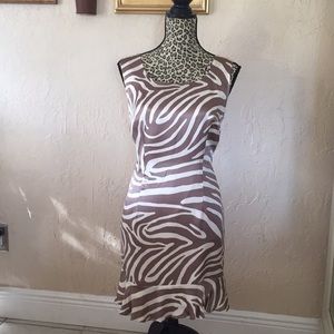 NWOT✨Beautiful Silk Dress ✨